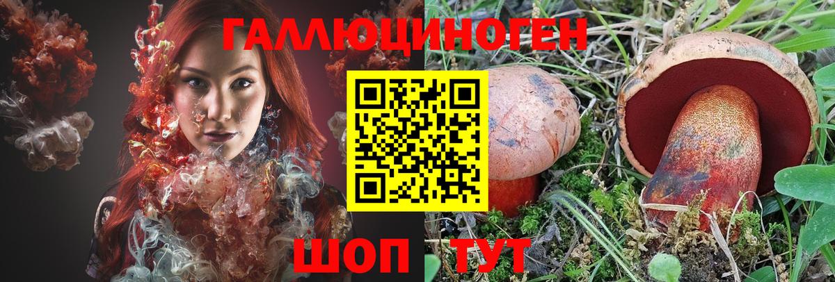 Псилоцибиновые грибы Psilocybine cubensis Елец